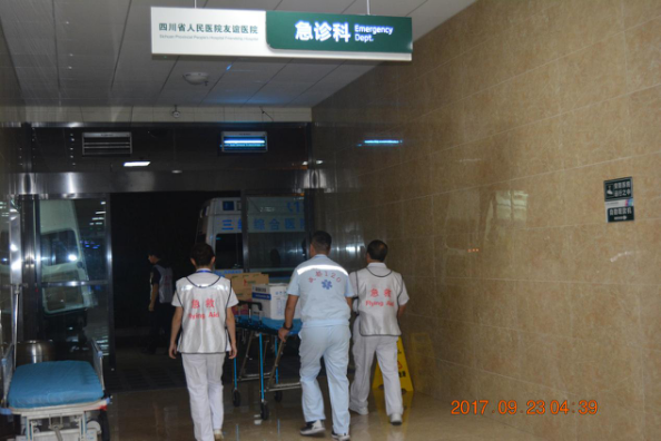 為“成馬”保駕，為生命護航