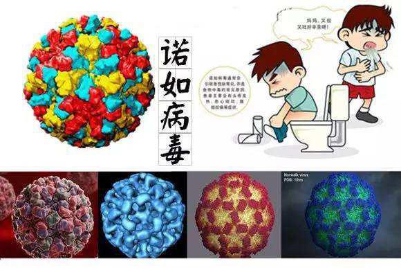 春季開學，謹防諾如病毒
