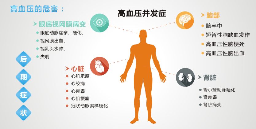 小友君帶您正確認(rèn)識、治療高血壓
