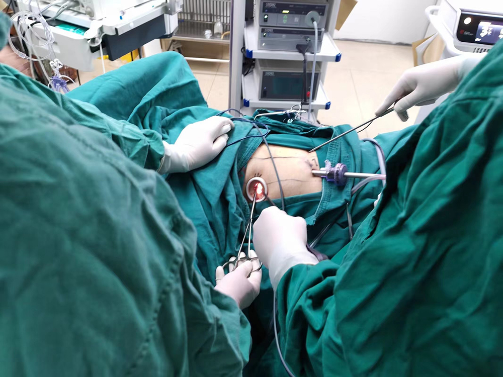 胸腔鏡下肺段切除術
