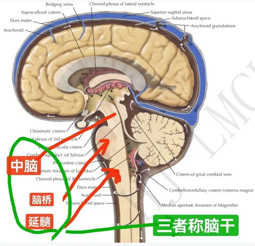 圖片2.png